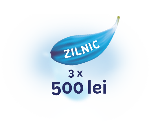 Zilnic 500 lei